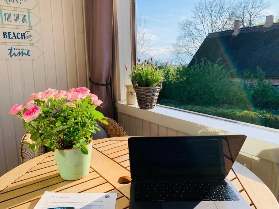 Workation Auf Ruegen Lägenhet Ummanz Exteriör bild