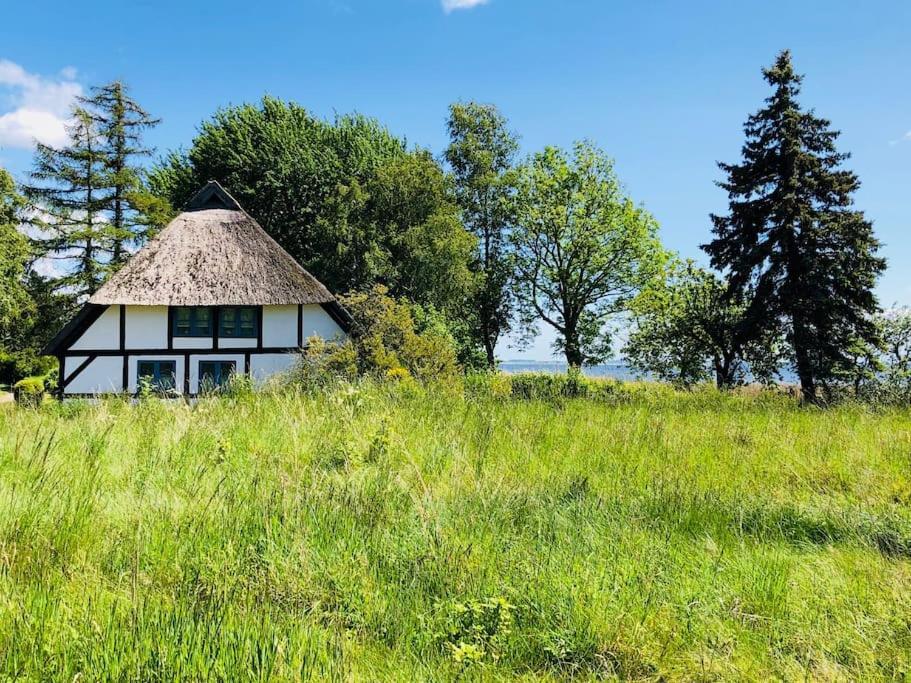 Workation Auf Ruegen Lägenhet Ummanz Exteriör bild